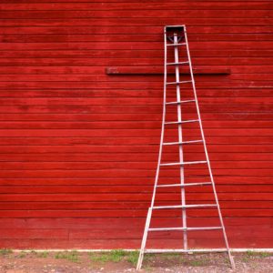 Apple Ladder