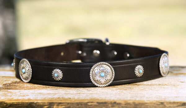 turquoise and spur collar