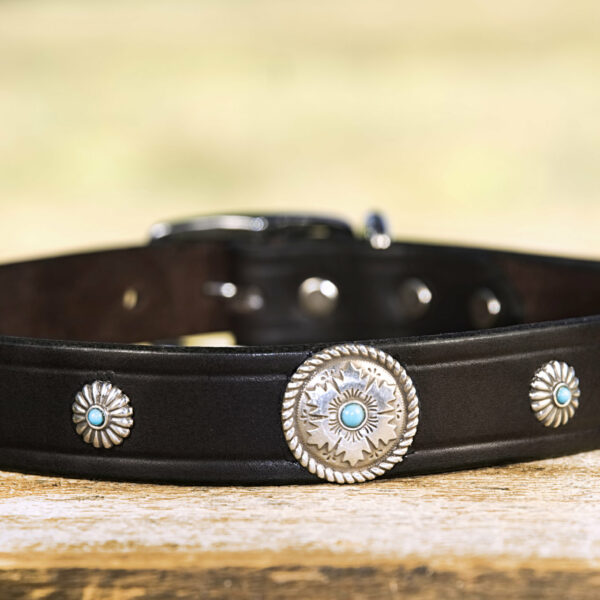 turquoise and spur collar