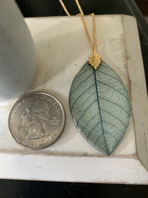 turquoise skeleton leaf 2