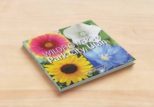 Wildflowers of Park City Coffee Table Book by Robert Hedges