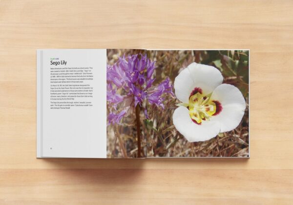 Wildflowers of Park City Coffee Table Book by Robert Hedges