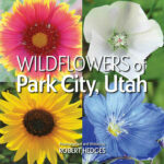 cropped Wildflowers of Park City Book Cover